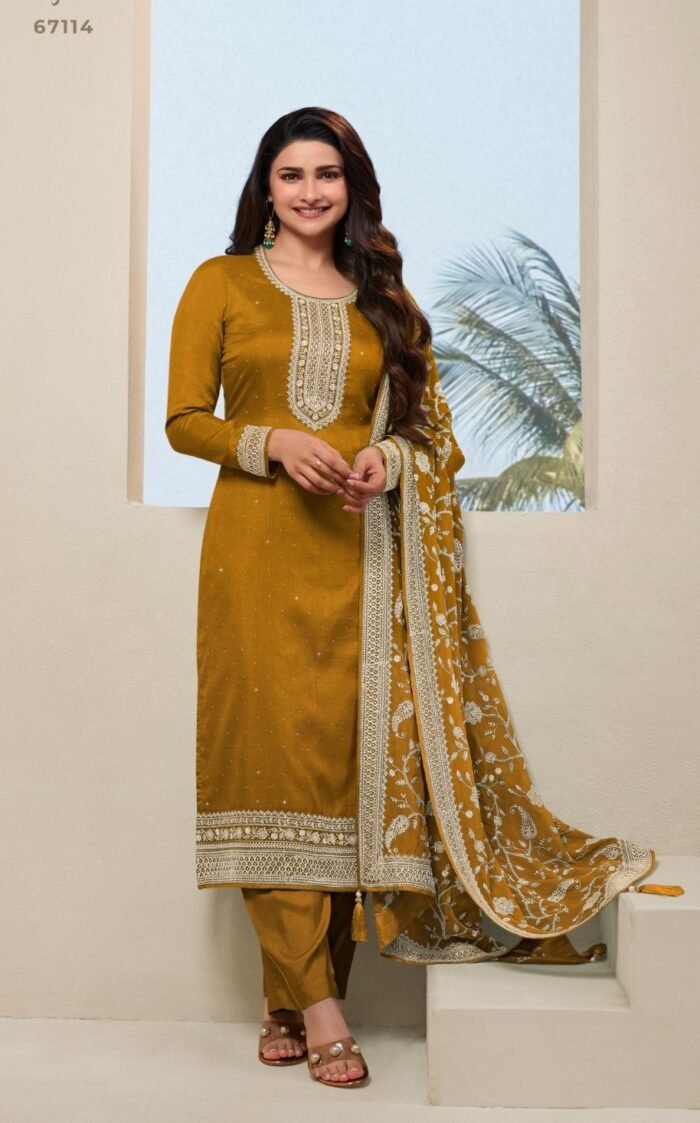 Elegant Salwar Kameez