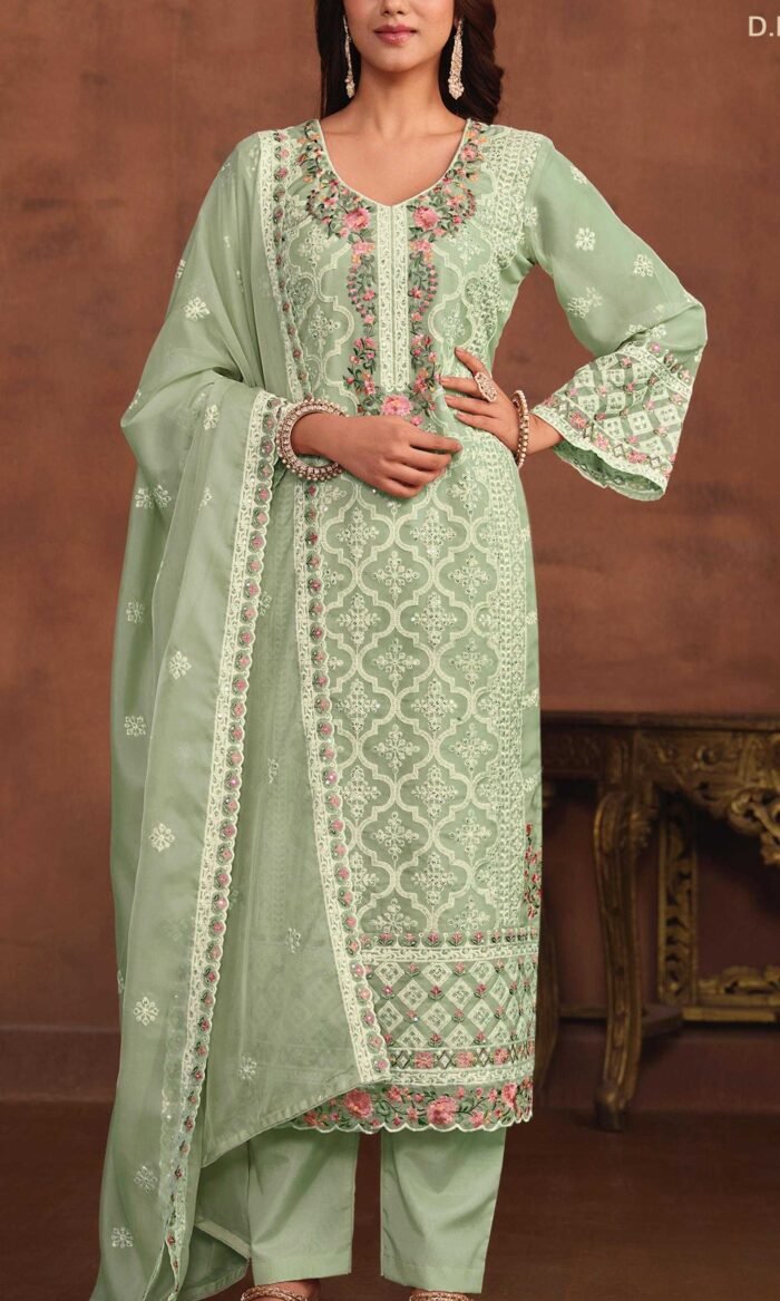 Soft Organza Embroidered Pakistani Kameez