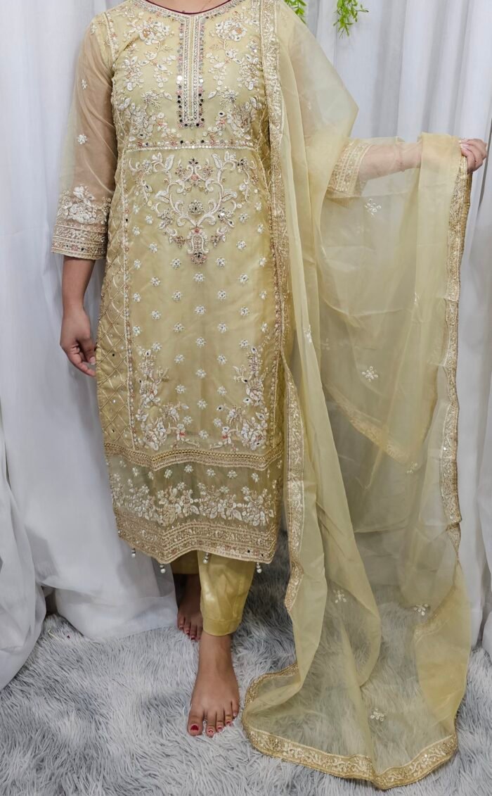 Pakistani Design Kameez