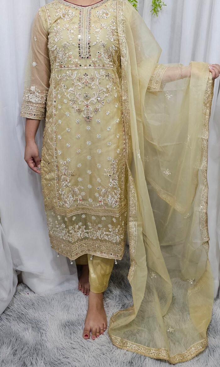Pakistani Design Kameez